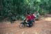 bou_sra_03