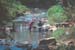 mondulkiri18
