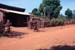 mondulkiri38