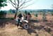 mondulkiri39