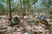 mondulkiri43