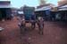 mondulkiri59