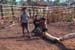 mondulkiri69