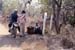mondulkiri_8