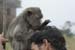 bokor2007_003