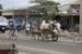 kampot2007_124