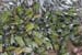 kep2006_021