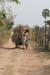 kep2006_045