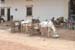 kep2007_022