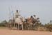 kep2007_029