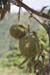 kep2007_076