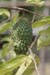 kep2007_077