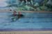 koh_tao060