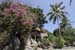 koh_tao065