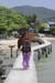 koh_tao079