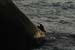 koh_tao102