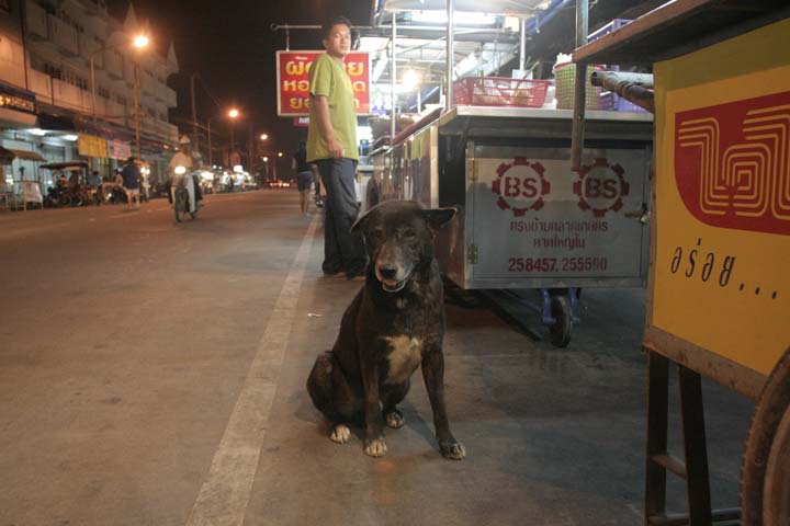 &copy; John Lancaster