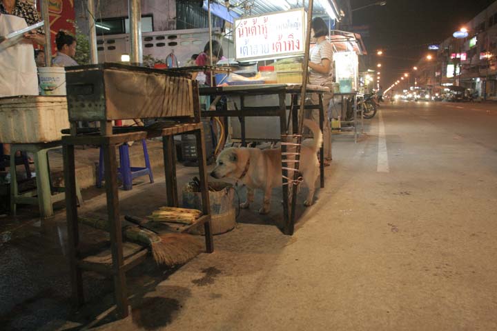 &copy; John Lancaster