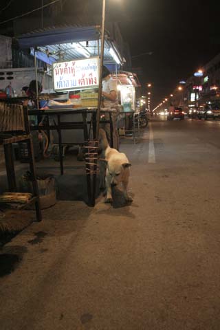 &copy; John Lancaster