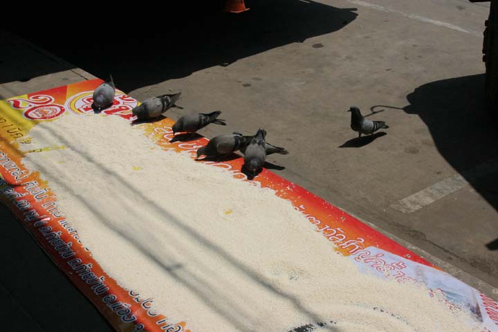 &copy; John Lancaster