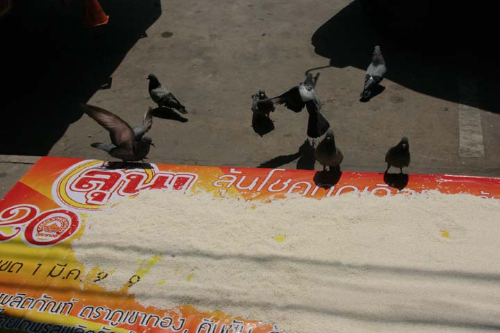 &copy; John Lancaster