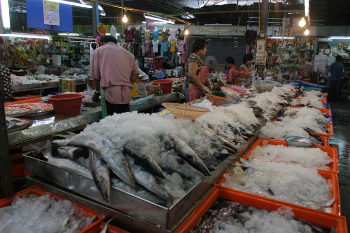 &copy; John Lancaster