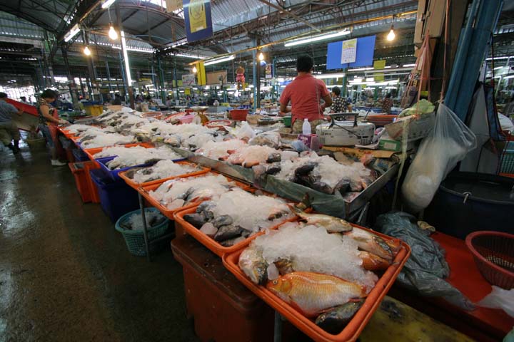 &copy; John Lancaster