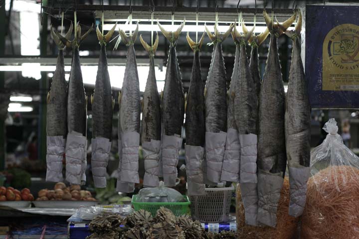 &copy; John Lancaster