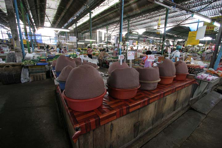 &copy; John Lancaster