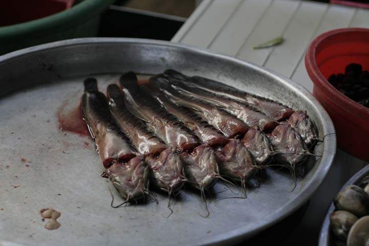 &copy; John Lancaster