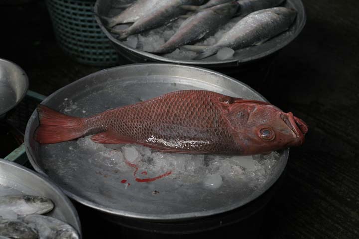 &copy; John Lancaster