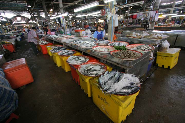 &copy; John Lancaster