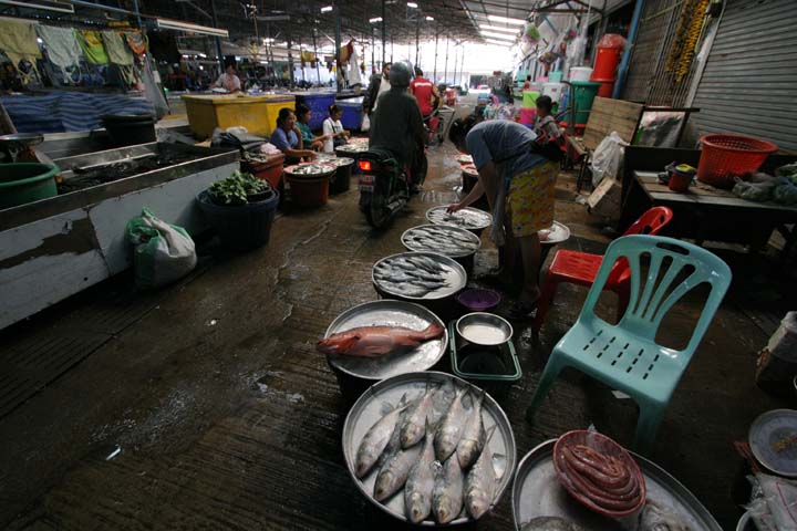 &copy; John Lancaster