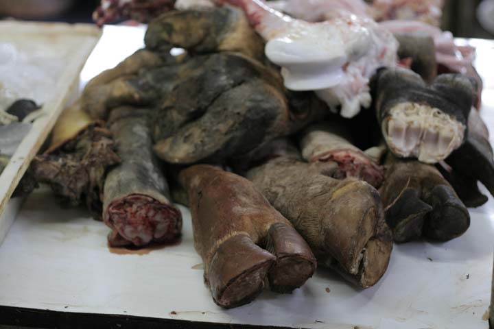 &copy; John Lancaster