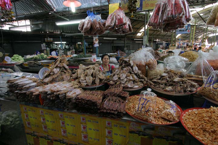 &copy; John Lancaster