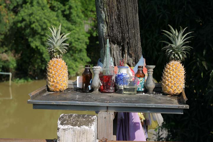 &copy; John Lancaster