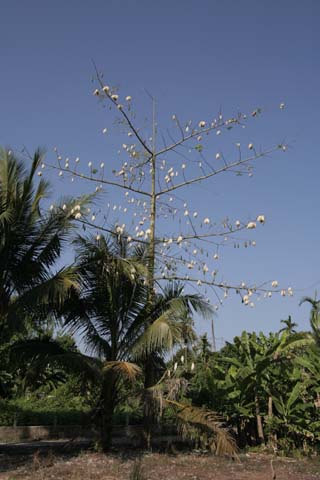 &copy; John Lancaster