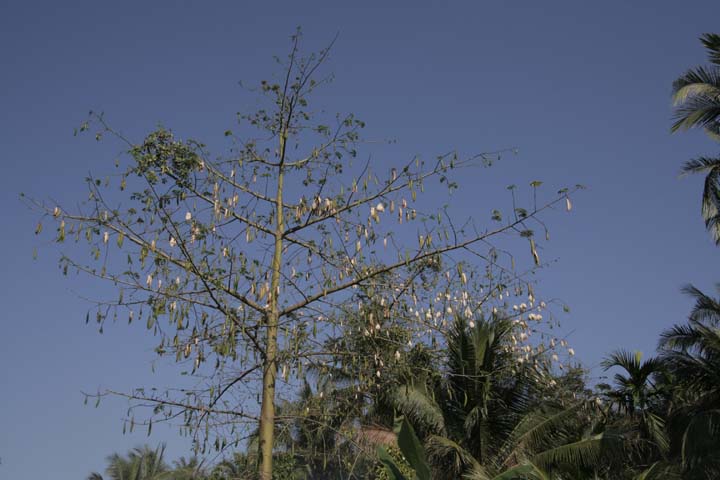 &copy; John Lancaster