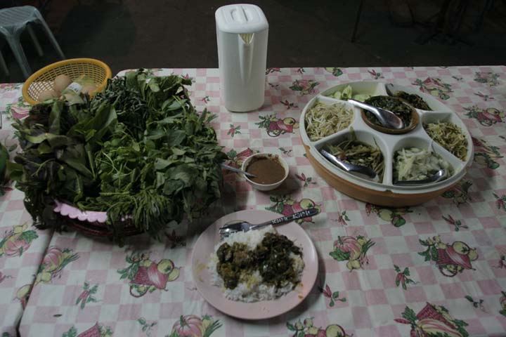 &copy; John Lancaster